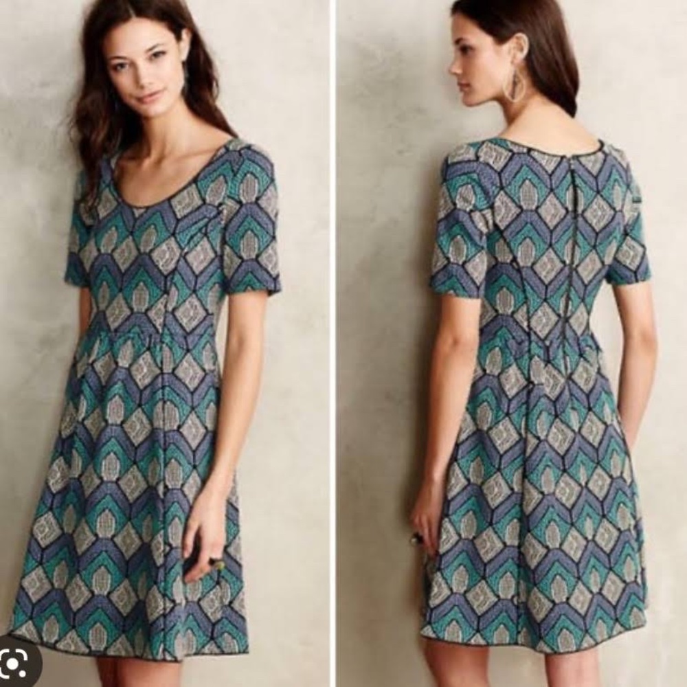 EUC Anthropologie HD in Paris Hollyhock Fit & Flare Swing Dress Size Medium